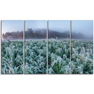 'Frozen Hemp Field in Autumn Morning' 4 Piece Wall Art on Wrapped Canvas Set