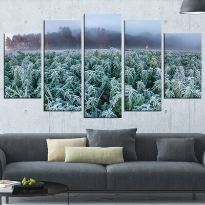 'Frozen Hemp Field in Autumn Morning' 5 Piece Photographic Print on Wrapped Canvas Set