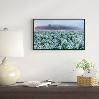 'Frozen Hemp Field in Autumn Morning' Framed Photographic Print on Wrapped Canvas