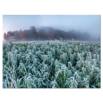 'Frozen Hemp Field in Autumn Morning' Framed Photographic Print on Wrapped Canvas